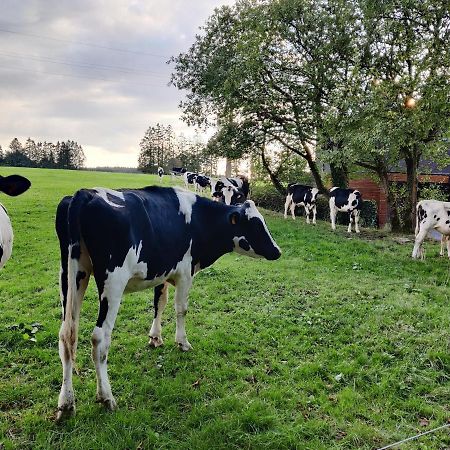 Ogite Jalhay Exteriér fotografie