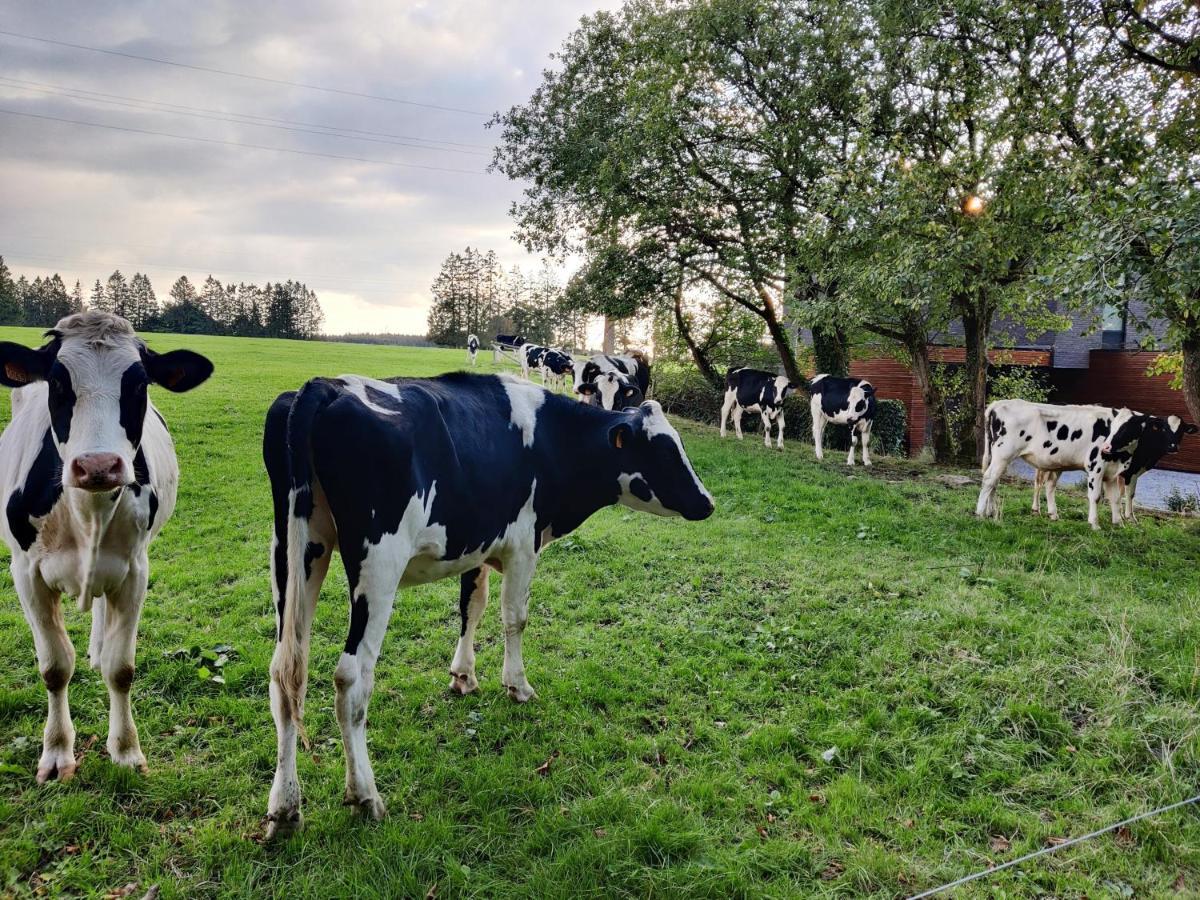 Ogite Jalhay Exteriér fotografie